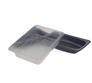 Rectangular Sealable Containers