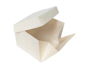 Jumbo Burger Box 5.25x5.25x4 Inches Hinged Lid