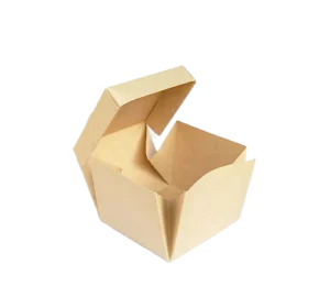 Jumbo Burger Brown Box 5.25x5.25x4 Inches Hinged Lid